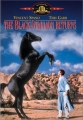 Возвращение черного скакуна - (The Black Stallion Returns)