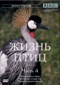 BBC: Жизнь птиц.Часть 4 - (BBC: The Life Of Birds)