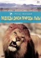 Людоеды дикой природы: Львы - (Attack! Africa's maneaters - Lions)