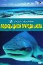 Людоеды дикой природы: акулы - (Attack! Africa's maneaters - Sharks)