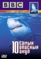 BBC: 10 самых опасных акул - (BBC: Ten Deadliest Sharks)