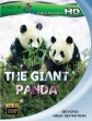 National Geographic: Гигантские панды - (Giant Panda)