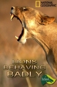 National Geographic: Львы-хулиганы - (Lions Behaving Badly)