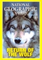 National Geographic: Возвращение волка - (Return of the Wolf)