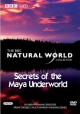 BBC: Живой мир (Мир природы): Секреты подземелий майя - (Natural World. Secrets of the Maya Underworld)