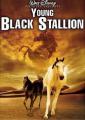 Рожденный в песках - The Young Black Stallion
