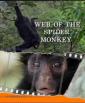    - Web of the Spider Monkey