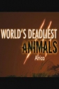 National Geographic: Самые опасные животные мира: Африка - (World's Deadliest Animals: Africa)