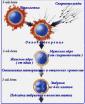 Большой взрыв: Непорочное зачатие - Neporochnoe zachatie