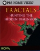 Фракталы. Поиски новых размерностей - (Fractals. Hunting The Hidden Dimension)