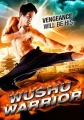 Воин ушу - (Wushu Warrior)