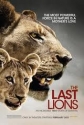 National Geographic: Последняя львица - (National Geographic: The Last Lioness)