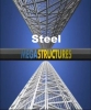 National Geographic: Суперсооружения: Сталь - (MegaStructures: Steel)