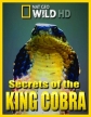 National Geographic: Загадки королевской кобры - (Secrets of the King Cobra)