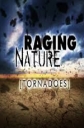 Discovery: Свирепая природа: Смерчи - (Discovery: Raging Nature: Tornadoes)