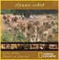 National Geographic: Армия львов: Битва за выживание - (Lion Army. Battle To Survive)