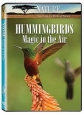 National Geographic: Жизнь колибри. Волшебство в воздухе - (National Geographic: Hummingbirds. Magic in the air)