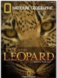   - Eye of the Leopard