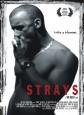 Бродяги - Strays