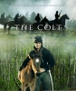   - The Colt