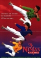      - 3 Ninjas Kick Back