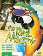 - - The Real Macaw