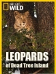 Леопарды дельты Окаванго - Leopards of Dead Tree Island