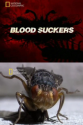 National Geographic: Атака насекомых. Кровопийцы - (Attack of the insects. Bloodsucker)