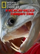 National Geographic: На крючке: Рыбы вампиры - (Hooked: Vampire Fish)