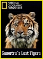 National Geographic: Последний тигр Суматры - (Sumatra's Last Tigers)