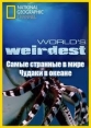 National Geographic: Самые странные в мире - (National Geographic: World`s Weirdest)