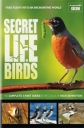 BBC. Тайная жизнь птиц - (BBC. Secret Life of Birds)