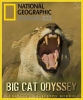 National Geographic: Одиссея больших кошек - (Big Cat Odyssey)