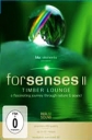 Blu:elements - Forsenses II: Timber Lounge - 