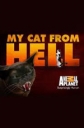 Animal planet: Адская кошка - (Animal planet: My Cat from Hell)