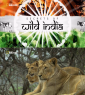 Тайны дикой природы Индии: Львы пустыни - (Secrets of Wild India: Desert Lions)