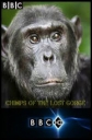 BBC: Шимпанзе - есть ли выход? - (BBC: Chimps of the Lost Gorge)