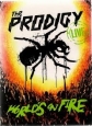 The Prodigy: World's on Fire - 