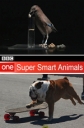 BBC: Гении из царства животных - (BBC: Super Smart Animals)