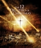 Двенадцать бедствий на Рождество - The 12 Disasters of Christmas