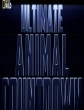 -:  - Ultimate Animal: flocks