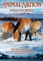 Дикие лошади: Возвращение в Китай - Wild Horses- Return to China