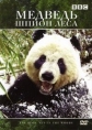 BBC: Медведь: Шпион леса - BBC- Bears- Spy in the Woods