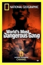 MS-13: Самая жестокая банда в мире - World's Most Dangerous Gang