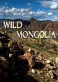 Дикая Монголия - Wild Mongolia