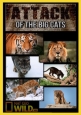National Geographic:    - National Geographic- Attack of the Big Cats