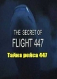   447 - The Secret of Flight 447