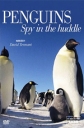      - Penguins — Spy In The Huddle