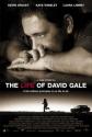 Жизнь Дэвида Гейла - The Life of David Gale