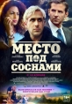 Место под соснами - The Place Beyond the Pines